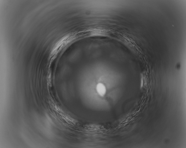 X0000116580339200912101545