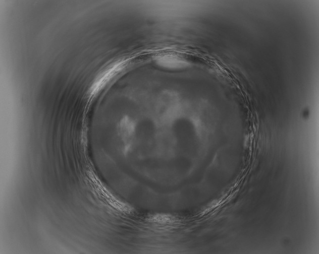 X0000116580341200912101545