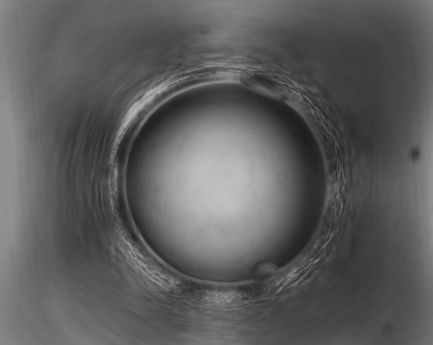 X0000116580342200912101545