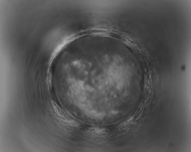 X0000116580343200912101545