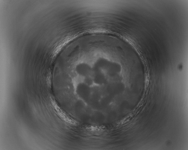 X0000116580345200912101545