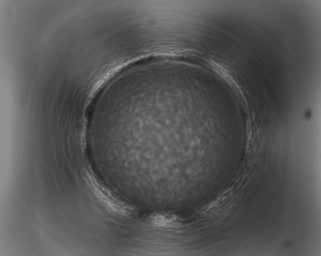 X0000116580346200912101545