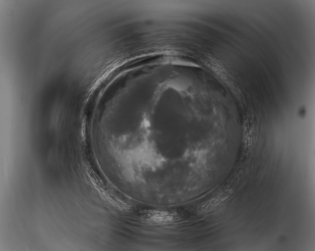 X0000116580347200912101545