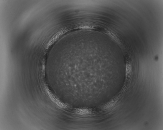 X0000116580349200912101545