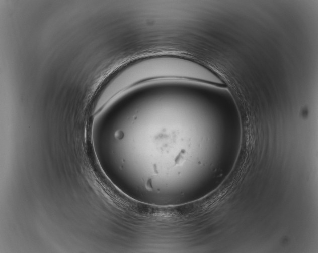 X0000116580350200912101545