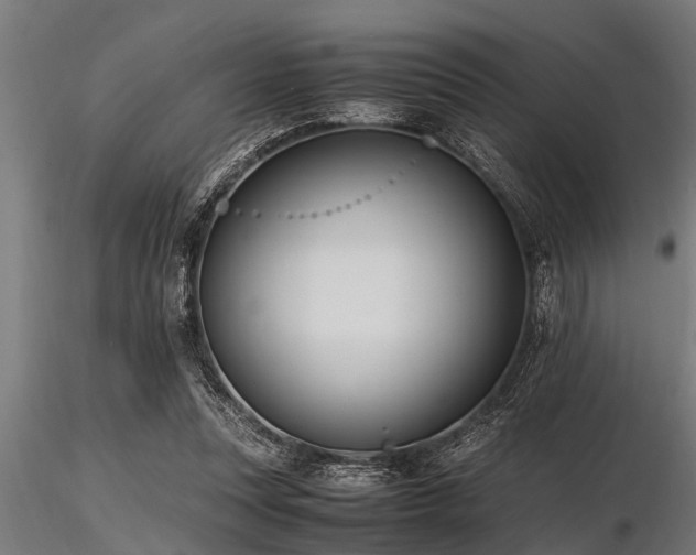 X0000116580351200912101545