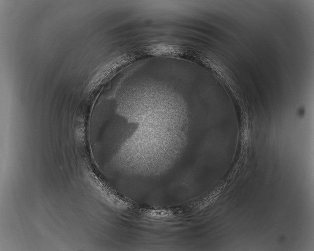 X0000116580353200912101545