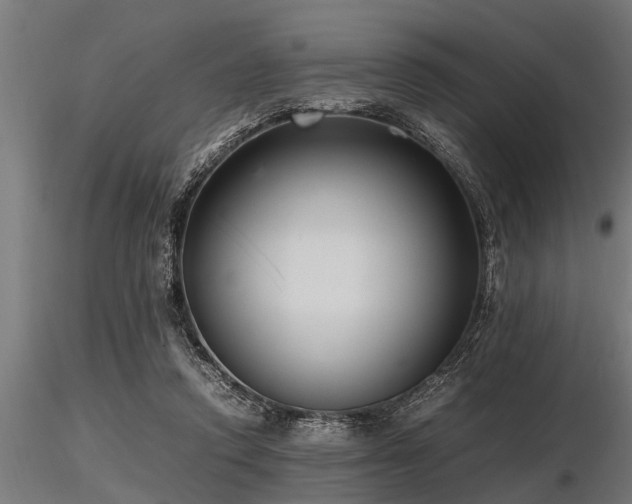 X0000116580354200912101545