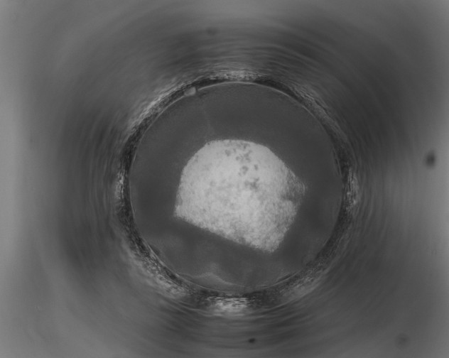 X0000116580355200912101545