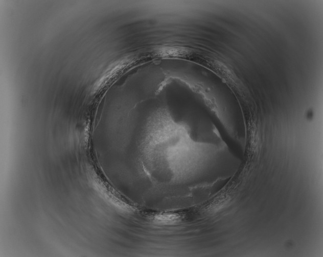 X0000116580357200912101545