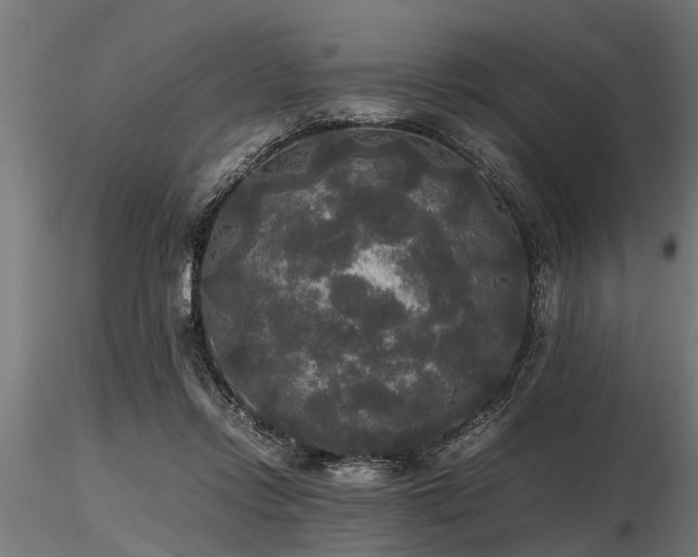 X0000116580358200912101545