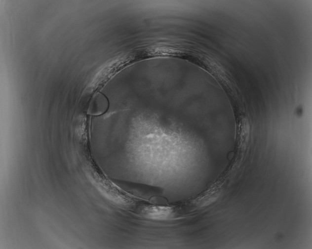 X0000116580361200912101545