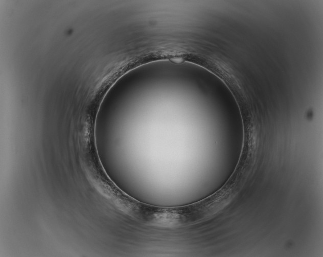 X0000116580362200912101545