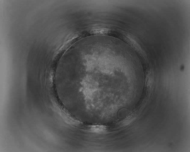 X0000116580363200912101545