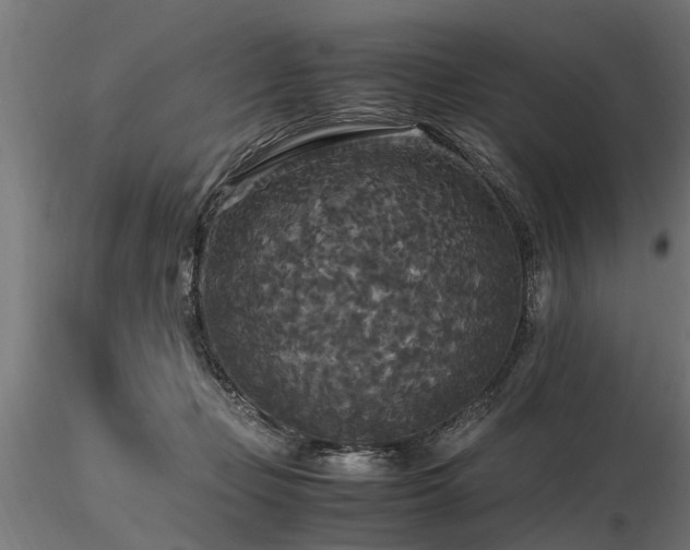 X0000116580365200912101545