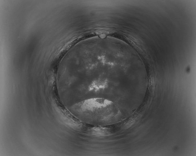 X0000116580367200912101545