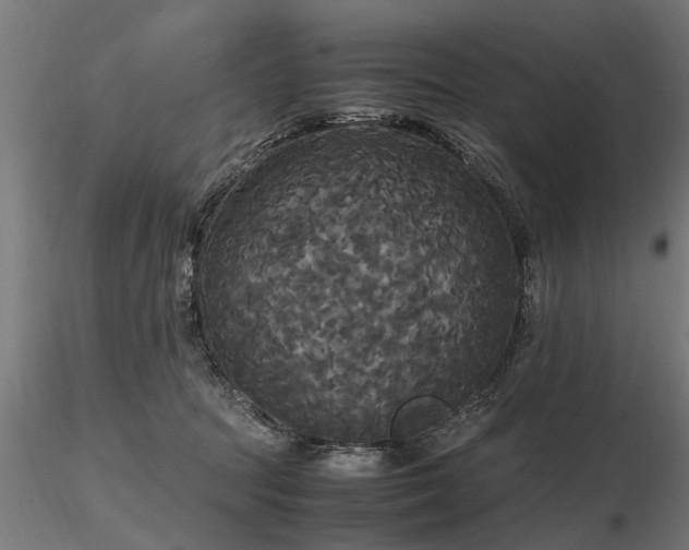 X0000116580369200912101545