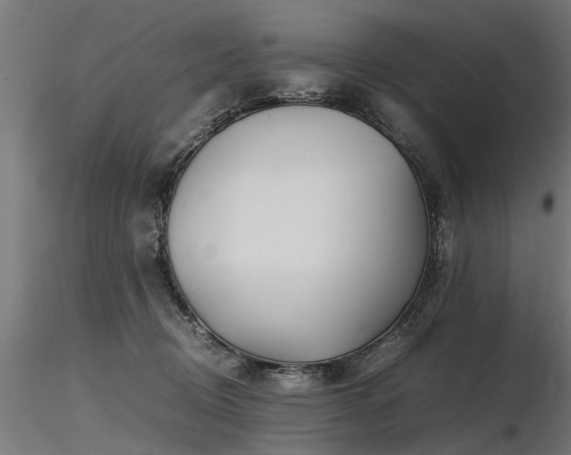 X0000116580370200912101545