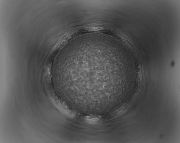 X0000116580373200912101545