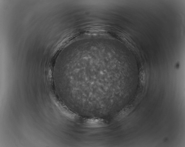 X0000116580375200912101545