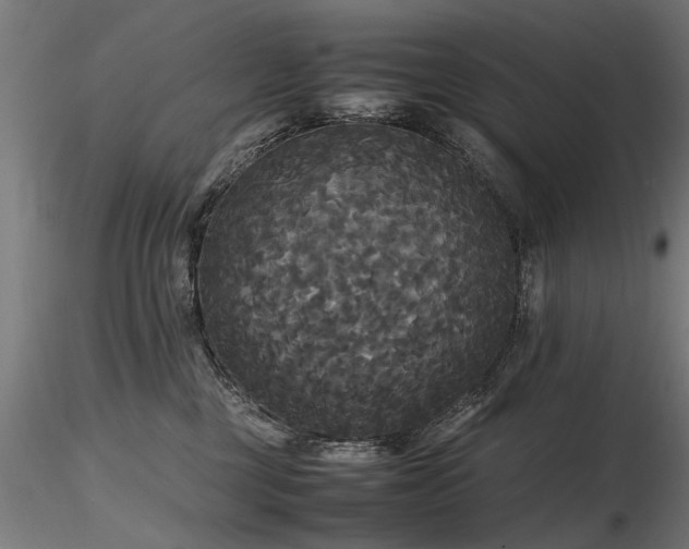 X0000116580377200912101545