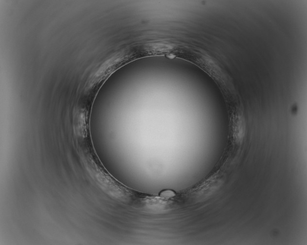 X0000116580378200912101545