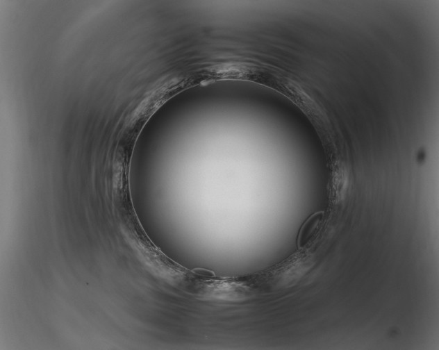 X0000116580379200912101546