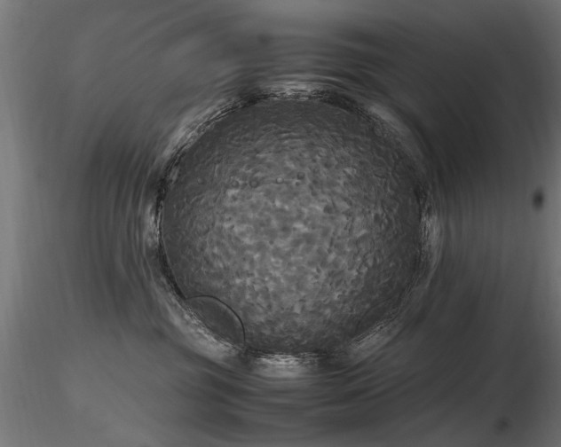 X0000116580381200912101546