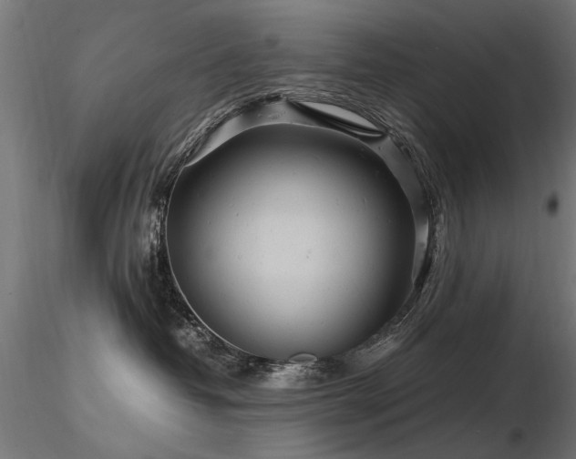 X0000116580382200912101546