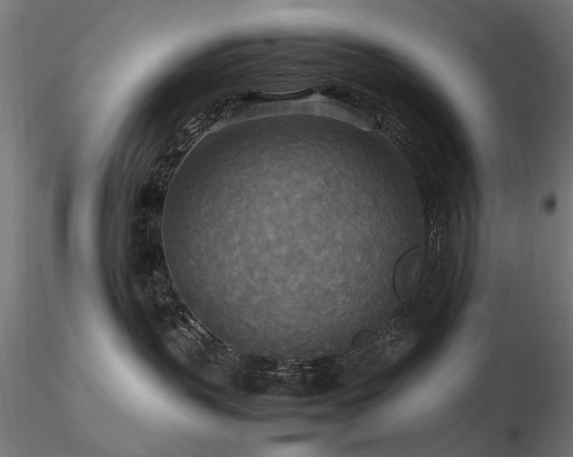 X0000116580383200912101546