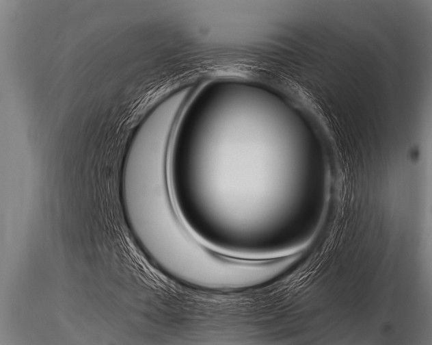 X0000116580385200912101545