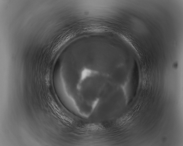 X0000116580386200912101545