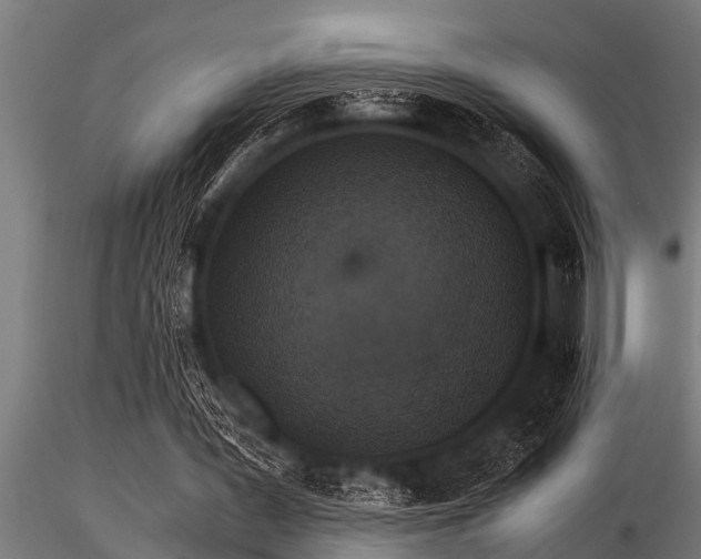 X0000116580387200912101545