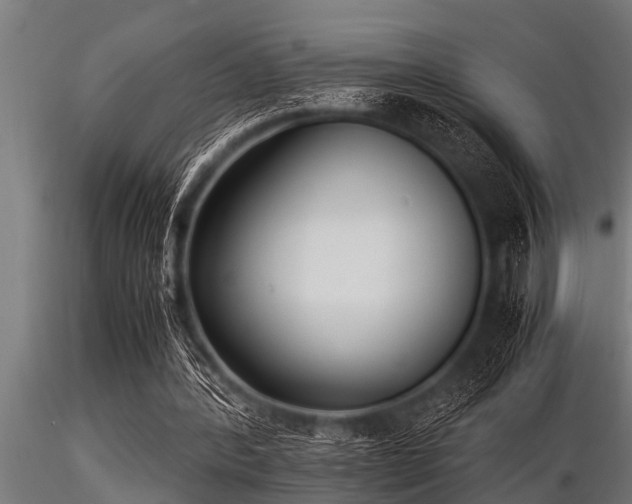 X0000116580388200912101545