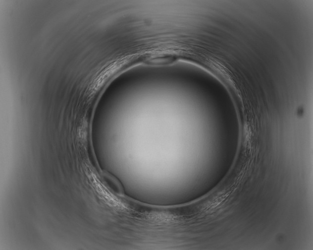 X0000116580389200912101545