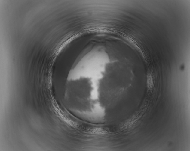 X0000116580390200912101545