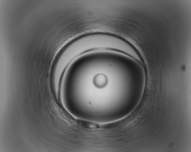 X0000116580391200912101545