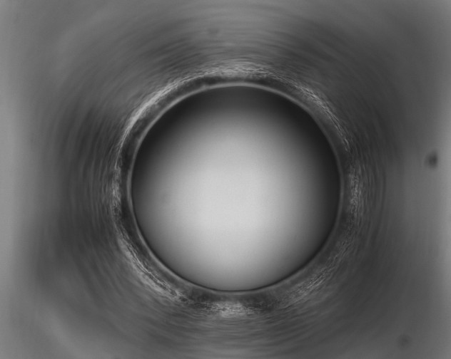 X0000116580392200912101545