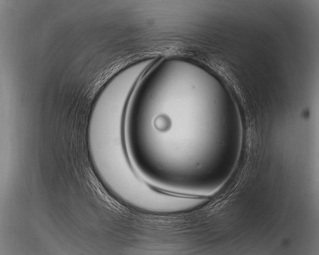 X0000116580393200912101545