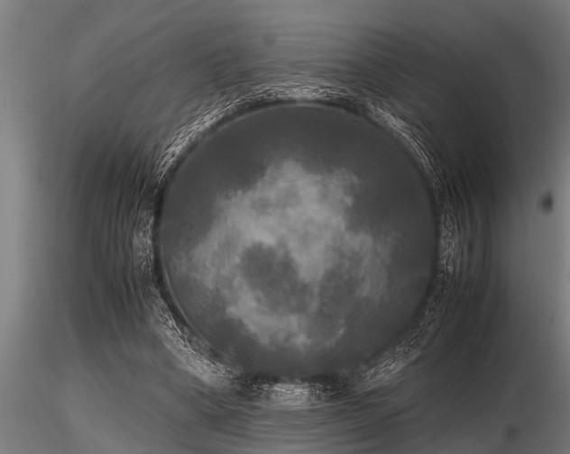 X0000116580394200912101545