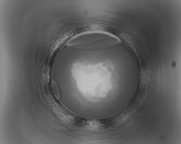 X0000116580395200912101545