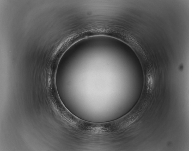 X0000116580396200912101545