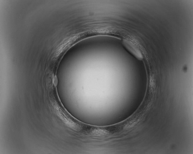 X0000116580397200912101545