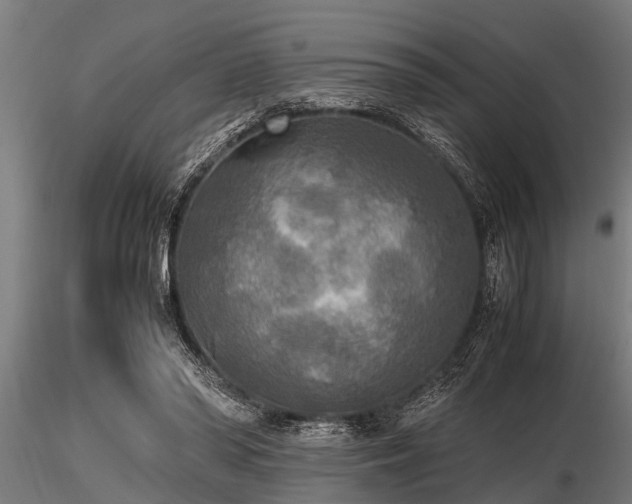 X0000116580398200912101545