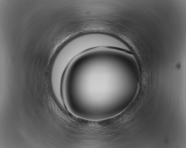 X0000116580399200912101545