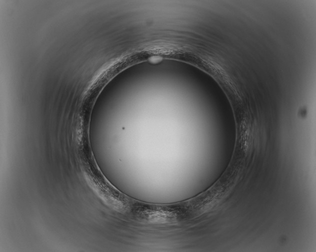 X0000116580400200912101545