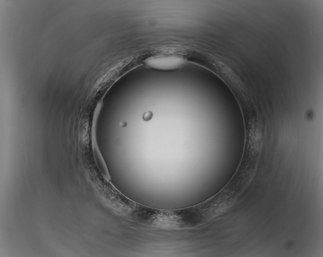 X0000116580403200912101545