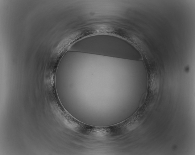 X0000116580405200912101545