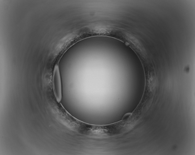 X0000116580407200912101545