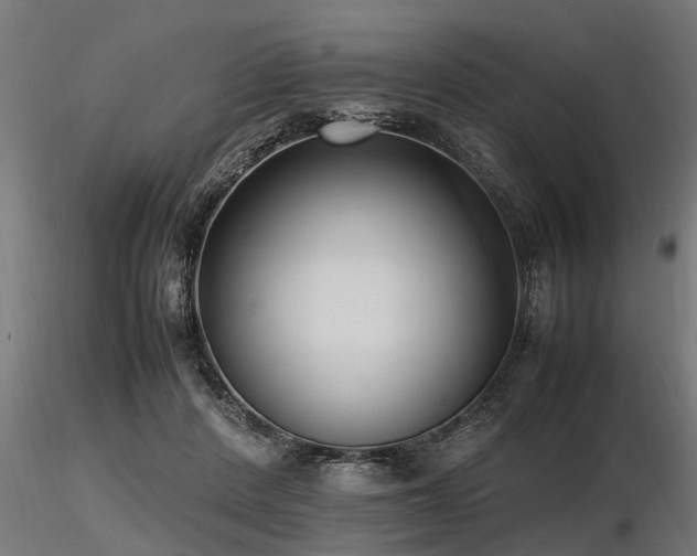 X0000116580408200912101545